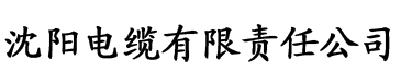 名侦探柯南h版电缆厂logo